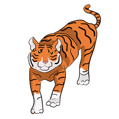 Vector hand drawn tiger. Chinese New year symbol. Can be used for baby t-shirt print, fashion print design, kids wear,
