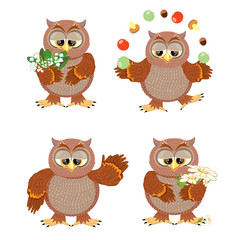 Set brown owls with flowers on a white background