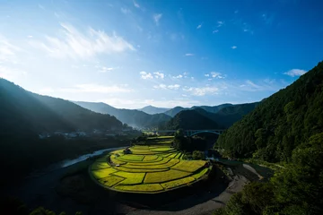 Printed roller blinds Rice fields Aragishima rice terraced field,Wakayama,Japan