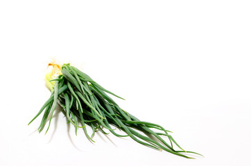 Spring Onion Isolated on White Background.