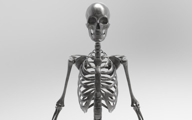 3D Illustration Of A Human Skeleton