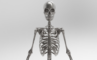 3D Illustration Of A Human Skeleton