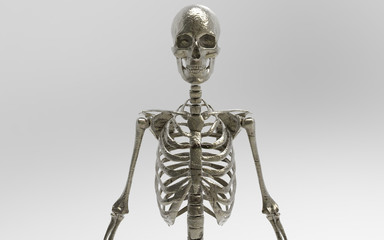 3D Illustration Of A Human Skeleton