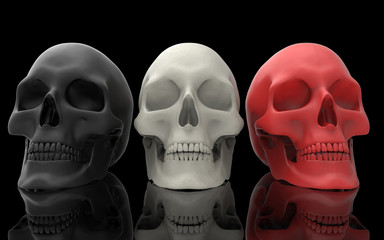 3D Illustration of A Human Skull
