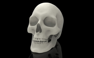 3D Illustration of A Human Skull