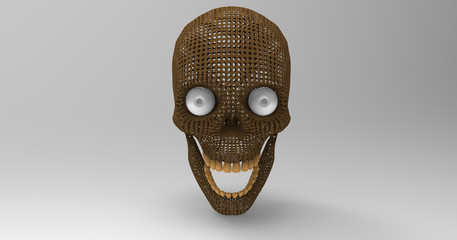 Isolated Human Skull