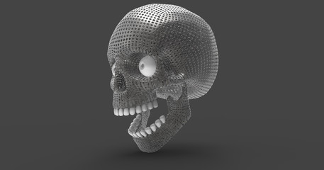3D Illustration Of An Isolated Human Skull 