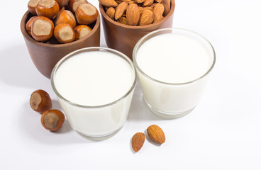 Glass of hazelnut milk and almond isolated on white background.