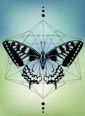 эскиз татуировки бабочка на градиентном фоне