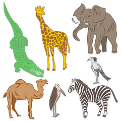 Colorful Hand Drawn African Animals and Birds. Doodle Drawings of Elephant, Zebra, Giraffe, Camel, Marabou and Secretary-bird. Flat Style. Vector Illustration.
