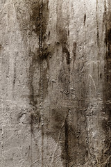 Grunge wall texture background