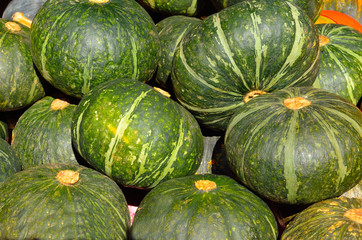fresh green japanese pumpkin on market