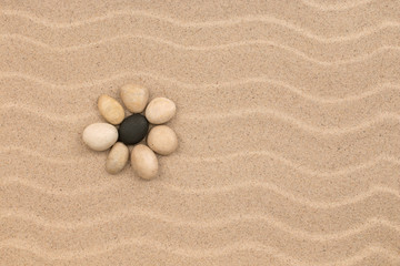 Fototapeta na wymiar Flower made of stones on the sand dunes.