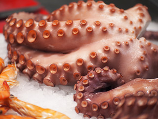 Fresh octopus at Valencian market