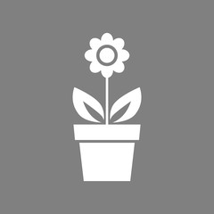 White flower vector icon on grey background