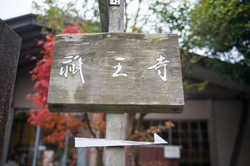 Gioji temple autumn scene,Kyoto,tourism of Japan