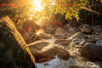 Natural stones river in tropical forest with rays of sunrise