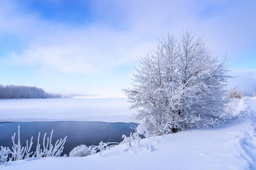 зимний пейзаж на берегу замерзшего озера с деревом в инее, Россия, Урал