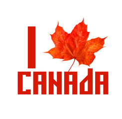 Canada logo maple leaf Love Canada