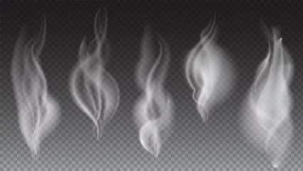 Fotobehang Witte rookgolven op transparante vectorillustratie als achtergrond © eriksvoboda
