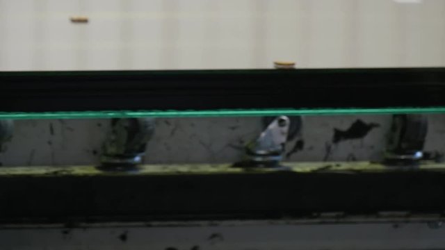 a Specialist Utilises a Metal Device to Process the Edge of Multilayed Bulletproof Glass and to Cover it With a Metal Frame