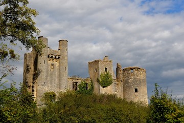 Fototapeta na wymiar Château de Passy les tours