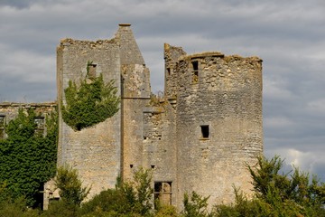 Fototapeta premium Château de Passy les tours