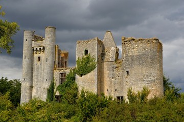 Fototapeta na wymiar Château de Passy les tours