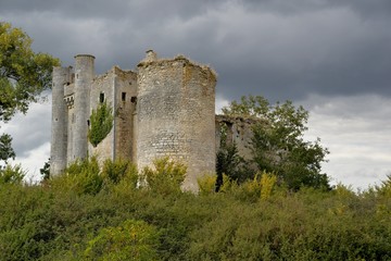 Fototapeta na wymiar Château de Passy les tours
