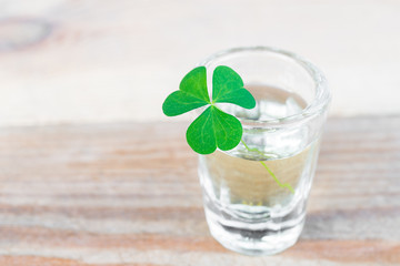 Three leaf shamrock in glass on wooden table