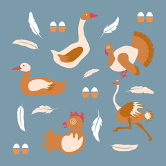 Poultry farm banner or flyer. Set of isolated birds icons in flat decision. Logo of organic products.  Vector illustration eps 10