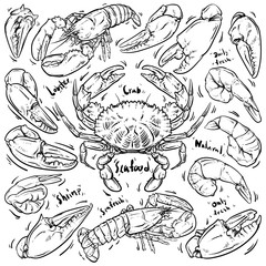 Seafood hand draw on white background. Crab & Lobster doodle vec