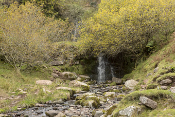 Waterfall in Autumn. The barren trees indicate winter is on its way in the Brecon Beacons. The public path up to the escarpment of Craig y Fan Ddu passes by a small waterfall. - obrazy, fototapety, plakaty