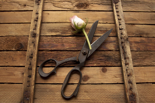 Old rustic vintage scissors on weathered wooden background