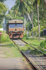Sri lanka