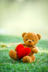 bear doll and red heart on the ground
