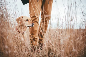 Deurstickers Jacht Wandelaar en hond in grasland