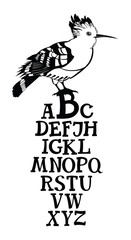 Fototapeta premium Birds collection Poster Alphabet with Hoopoe bird