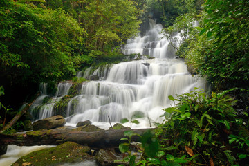 waterfall in forest