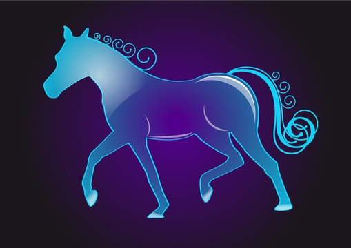 Cheval de verre - fond couleur