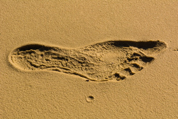 trace of human foot