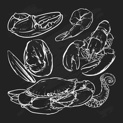 Seafood outline on black background. Crab & Shrimp doodle vector