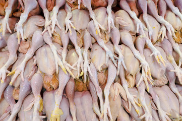 Close-up of fresh uncooked chicken