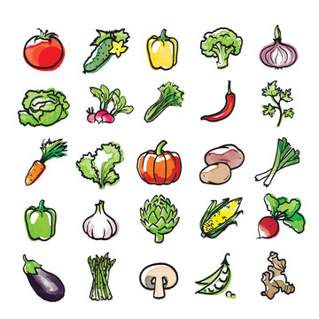 watercolor icons of vegetables, vector set