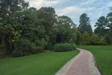 pathway in tropical park summer
