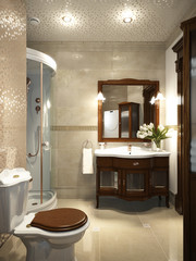 Bright classic traditional laundry room and bathroom interior