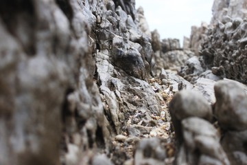 a tunnel of grey rock