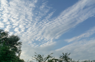 Obraz premium Blue cloudy sky