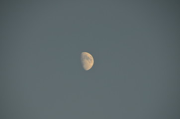 Half moon on a blue sky