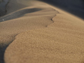 huacachina oasis